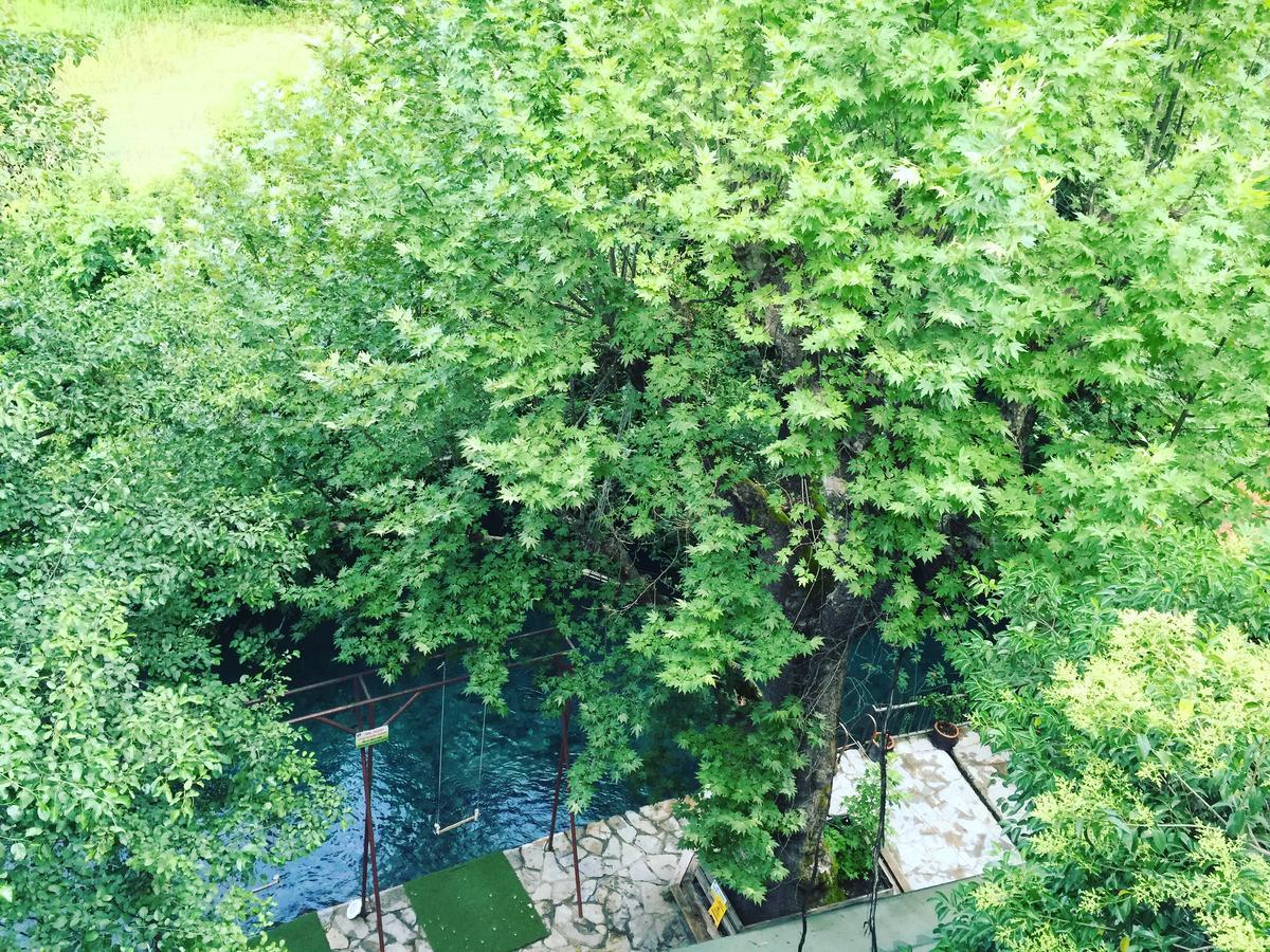 Koycegiz  Yuvarlakcay Cinar Butik Hotel מראה חיצוני תמונה